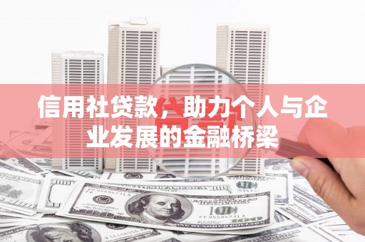 普湾新区信用社贷款，助力个人与企业发展的金融桥梁