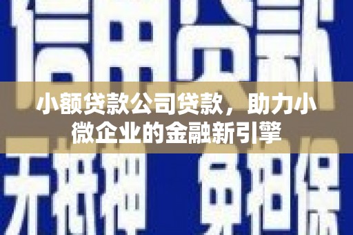 普湾新区小额贷款公司贷款，助力小微企业的金融新引擎