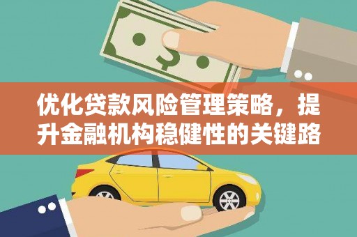 普湾新区优化贷款风险管理策略，提升金融机构稳健性的关键路径