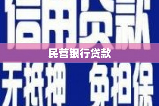 普湾新区民营银行贷款