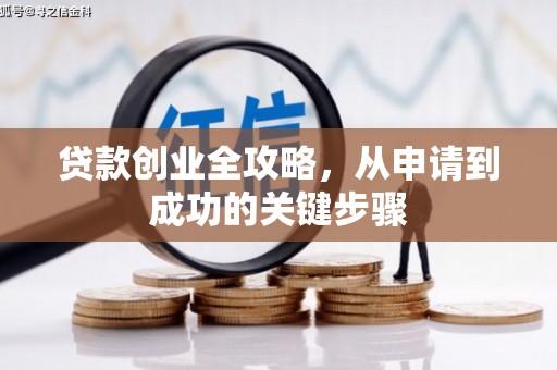 普湾新区贷款创业全攻略，从申请到成功的关键步骤