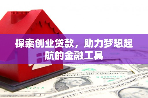 普湾新区探索创业贷款，助力梦想起航的金融工具