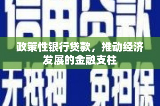 普湾新区政策性银行贷款，推动经济发展的金融支柱