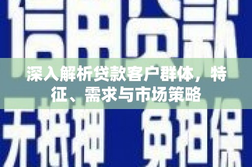普湾新区深入解析贷款客户群体，特征、需求与市场策略