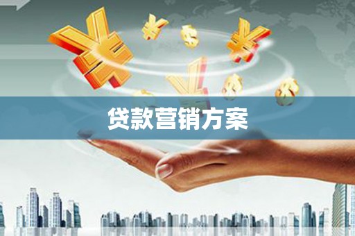 普湾新区贷款营销方案