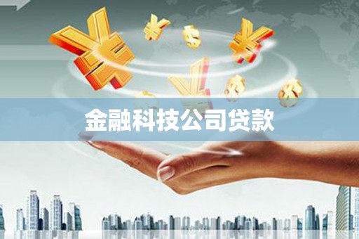 普湾新区金融科技公司贷款