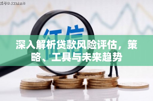 普湾新区深入解析贷款风险评估，策略、工具与未来趋势