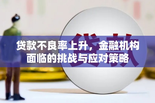 普湾新区贷款不良率上升，金融机构面临的挑战与应对策略