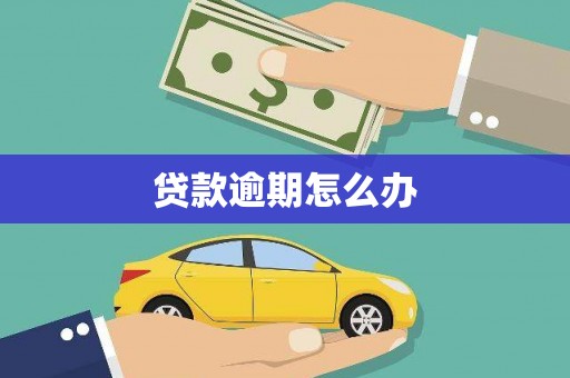 普湾新区贷款逾期怎么办