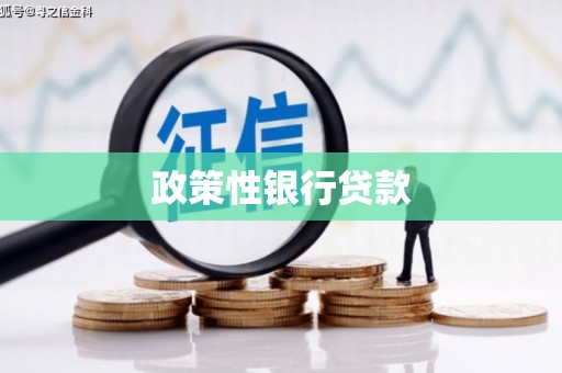 普湾新区政策性银行贷款