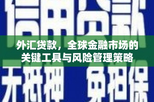 普湾新区外汇贷款，全球金融市场的关键工具与风险管理策略