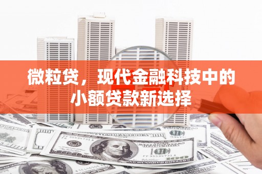 普湾新区微粒贷，现代金融科技中的小额贷款新选择