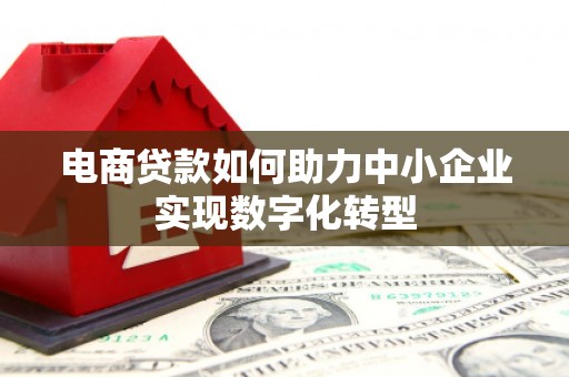 普湾新区电商贷款如何助力中小企业实现数字化转型