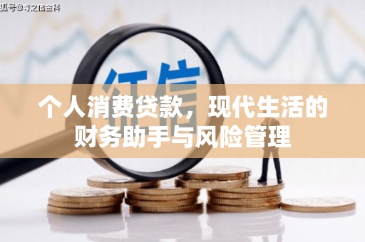普湾新区个人消费贷款，现代生活的财务助手与风险管理