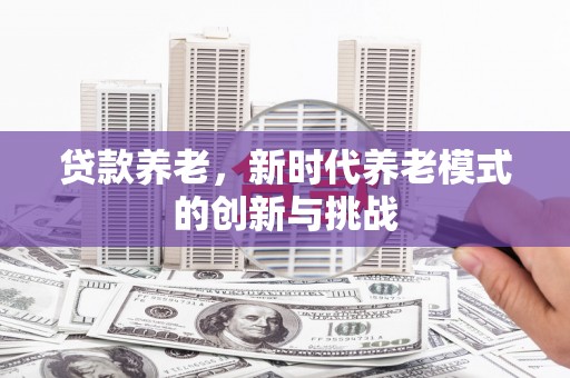 普湾新区贷款养老，新时代养老模式的创新与挑战