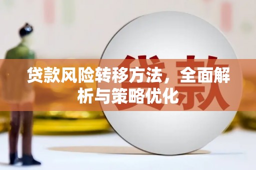 普湾新区贷款风险转移方法，全面解析与策略优化