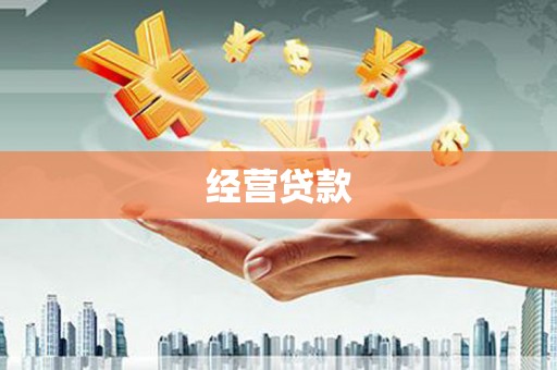 普湾新区经营贷款