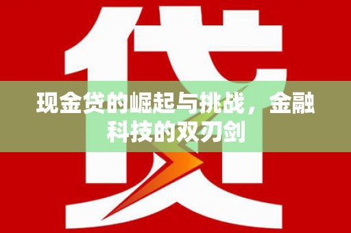 普湾新区现金贷的崛起与挑战，金融科技的双刃剑