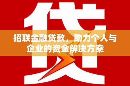 普湾新区招联金融贷款，助力个人与企业的资金解决方案