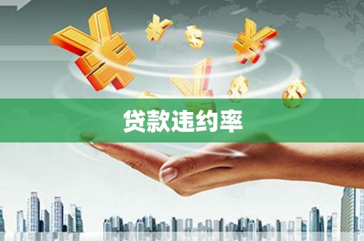 普湾新区贷款违约率