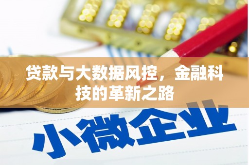 普湾新区贷款与大数据风控，金融科技的革新之路
