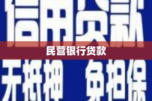 普湾新区民营银行贷款