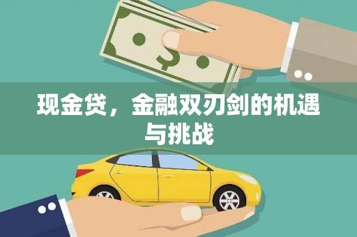 普湾新区现金贷，金融双刃剑的机遇与挑战