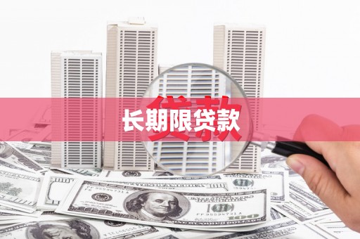 普湾新区长期限贷款