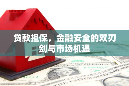 普湾新区贷款担保，金融安全的双刃剑与市场机遇