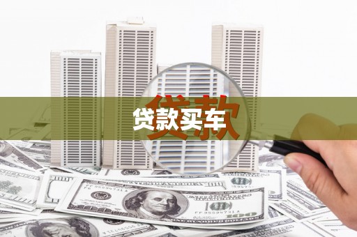 普湾新区贷款买车