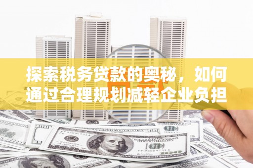 普湾新区探索税务贷款的奥秘，如何通过合理规划减轻企业负担