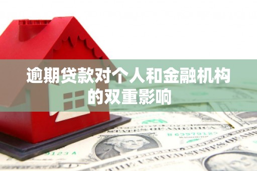 普湾新区逾期贷款对个人和金融机构的双重影响