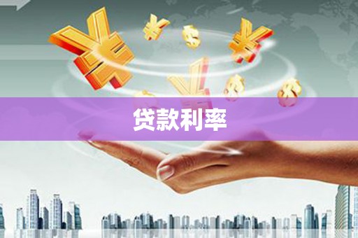 普湾新区贷款利率