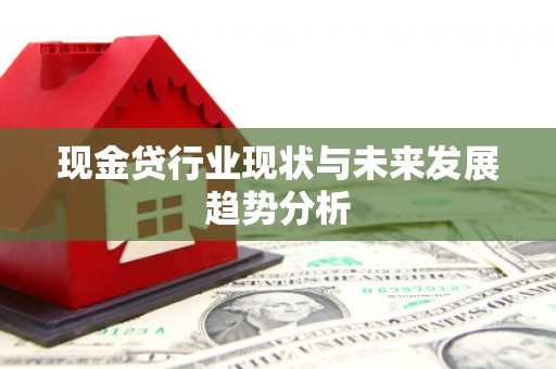 普湾新区现金贷行业现状与未来发展趋势分析