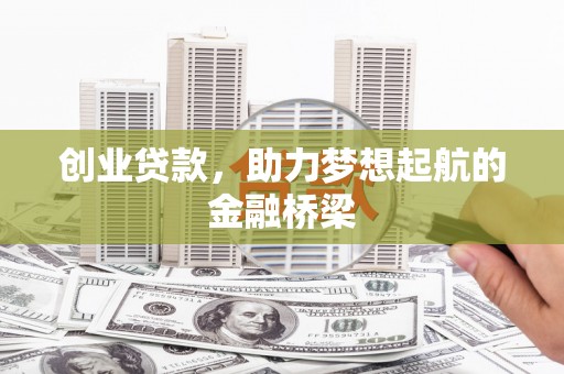 普湾新区创业贷款，助力梦想起航的金融桥梁
