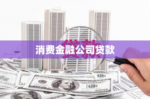 普湾新区消费金融公司贷款