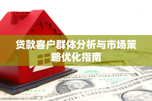 普湾新区贷款客户群体分析与市场策略优化指南