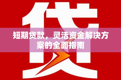 普湾新区短期贷款，灵活资金解决方案的全面指南
