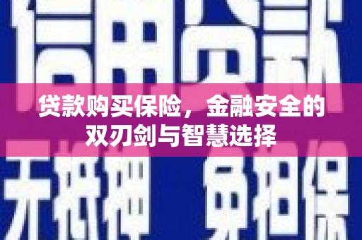 普湾新区贷款购买保险，金融安全的双刃剑与智慧选择