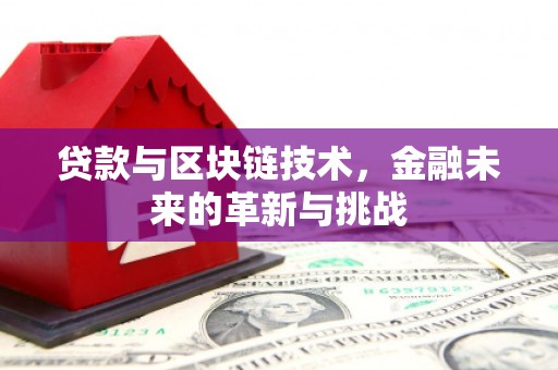 普湾新区贷款与区块链技术，金融未来的革新与挑战