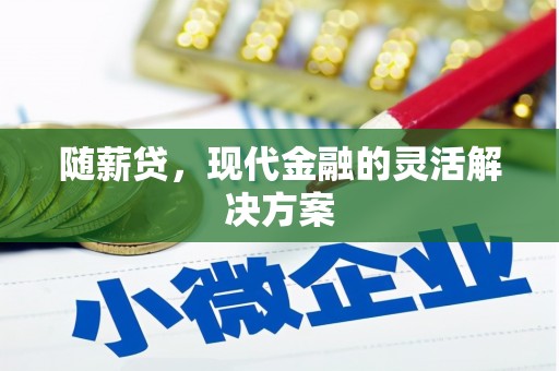 普湾新区随薪贷，现代金融的灵活解决方案