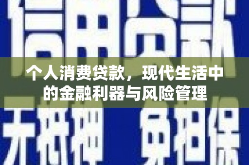 普湾新区个人消费贷款，现代生活中的金融利器与风险管理
