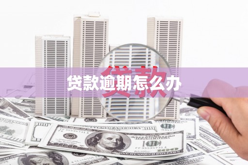 普湾新区贷款逾期怎么办