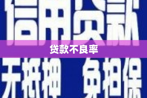 普湾新区贷款不良率