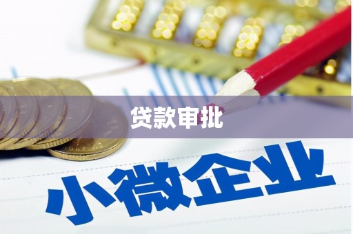 普湾新区贷款审批