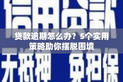 普湾新区贷款逾期怎么办？5个实用策略助你摆脱困境