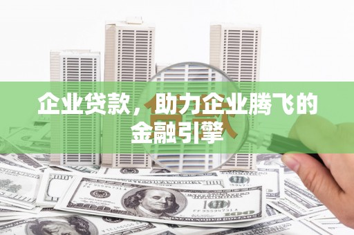 普湾新区企业贷款，助力企业腾飞的金融引擎