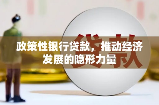 普湾新区政策性银行贷款，推动经济发展的隐形力量