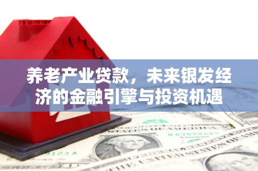 普湾新区养老产业贷款，未来银发经济的金融引擎与投资机遇