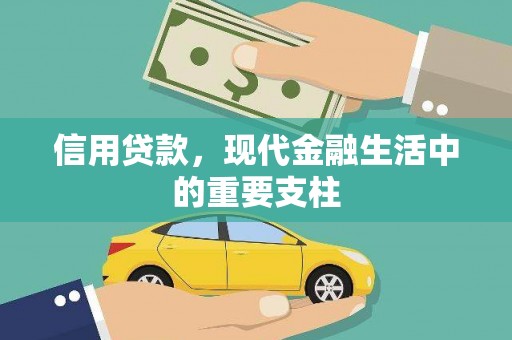 普湾新区信用贷款，现代金融生活中的重要支柱